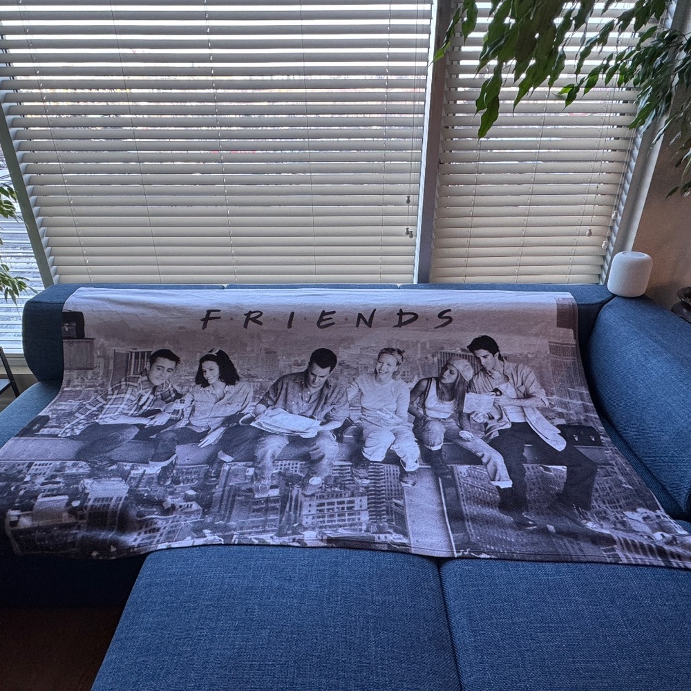 FRIENDS Blanket Lunch Atop a Skyscraper (6.5ft) Black +White Pop Culture Decor